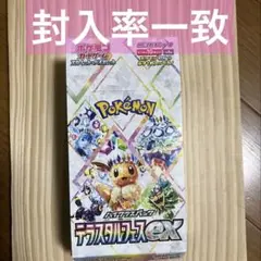 ポケモンカード テラスタルフェスex 1box 製造番号一致 サーチ品 ポケモンカード テラスタルフェスex 1box 製造番号一致 サーチ品