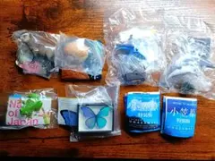 ネイチャーテクニカラー　日本のいきもの　深海生物　小笠原　ドイツ箱