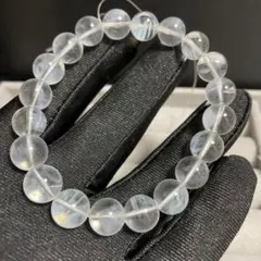 2025年最新】ブルーエンジェルラダーの人気アイテム - メルカリ