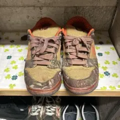 NIKE dunk Hunter