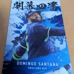 東京ヤクルトスワローズ サンタナ選手、赤羽選手、西川選手