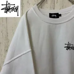 【激レア】STUSSY ステューシー　スウェット　トレーナー　完売モデル