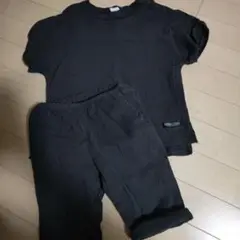楊柳 セットアップ 120cm