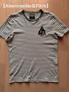 公式オンラインストア購入Abercrombie&Fitch アバクロTシャツ