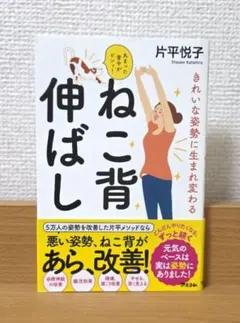 【美品】 きれいな姿勢に生まれ変わる ねこ背伸ばしのサムネイル