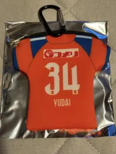 アルビレックス新潟 ネオプレーンケース 藤原