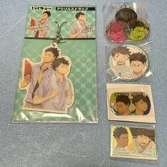 ハイキュー！！ 及川徹 岩泉一 アクキー マグネット