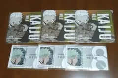 怪獣8号 神楽木葵