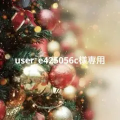 user_e425056c様専用