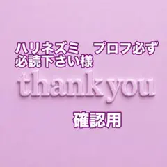 ハリネズミ　プロフ必ず必読下さい様　確認用