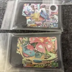 フレンダ　フシギバナ　カメックス