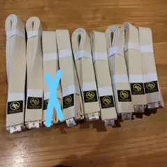 Item thumbnail for item 37425422-69f2-4134-9901-43700637e786