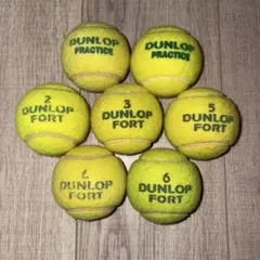 Item thumbnail for item 61cb6955-9c39-4ae0-b6bf-26ecceb59af9