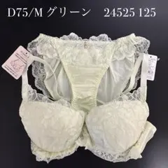 グリーン　D75/M ナルエー　ブラショーツセット　24525 125のサムネイル