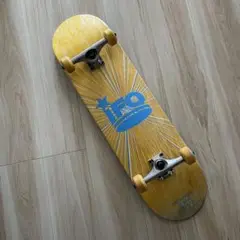 IFO skateboard コンプリート　スケートボード