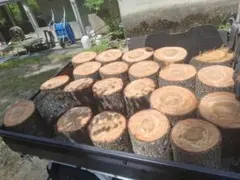 薪　アカマツ　軽トラ１杯　北杜市より 赤松薪 軽トラ一杯