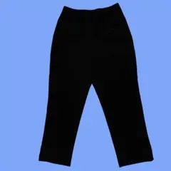 【P2有木】ストレッチスリムクロップドパンツ　ブラック　サイズM