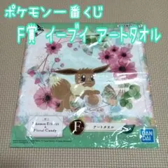 D7❁ ポケモン一番くじ ナチュラルガーリー ファンタジー メルヘン イーブイ