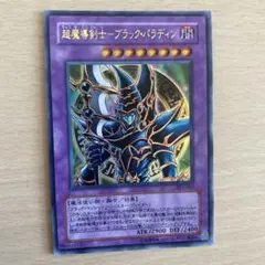 ブラックパラディン