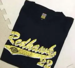 Dickies Tシャツのサムネイル