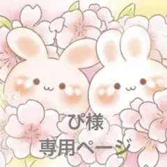 専用ページです⋈*.。