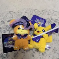 ポケモンセンターヒロシマ 限定 ピカチュウ ヒメグマ　サンフレッチェ ぬいぐるみのサムネイル