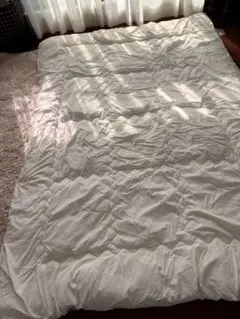 ニトリ　掛け布団　シングル　テイジン　抗菌防臭　カバー付き