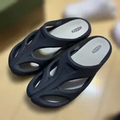 Item thumbnail for item 3c2e4a6e-f287-48ff-be5c-87924ed5ac00