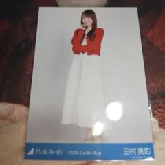 乃木坂46 田村真佑 Luckybag シャツワンピース生写真