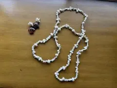 【値下げ】貝殻のロングネックレスとピアスのセット　シェルレイ　シェルピアス