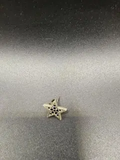 SUNSEA 30th star pinz 七宝焼き ピンバッジ - メルカリ