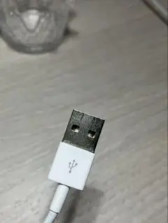 USB Lightningケーブル ホワイト