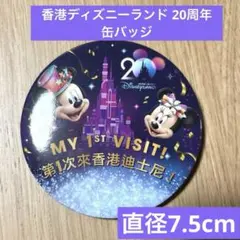 香港ディズニーランド 20周年　缶バッジ