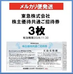 고토 미술관 분카무라 뮤지엄 시네마 3장