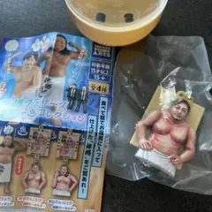 体格ブラザーズ ビッグボディーコレクション 平子さん 額装キーホルダー