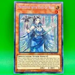 2026年最新】青き眼の巫女の人気アイテム - メルカリ