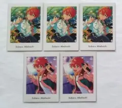 明星スバル ぱしゃっつ Vol.5