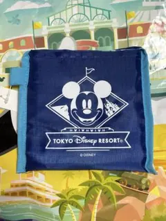 東京ディズニーリゾート ミッキー エコバッグ　完売品