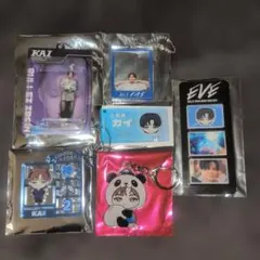 超特急カイ　EVE・REAL?ツアーグッズ