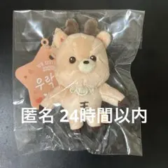 2025年最新】Riize ぬいぐるみ ソンチャンの人気アイテム - メルカリ