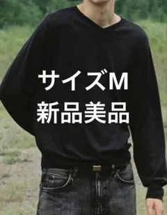 lidnm W/Si/Ca 18G V Neck Knit Mサイズ