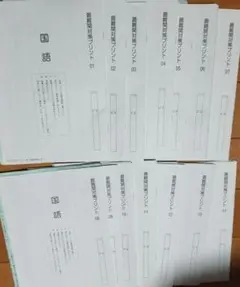 【サピックス】最難関対策プリント　国語フルセット　桜蔭・豊島岡