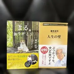 Item thumbnail for item 1ea72eeb-2127-4330-8b28-ee8e474ecdcf