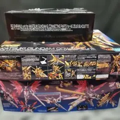 HG RG ガンプラ3点 アカツキ デスティニー ゼウスシルエット 他 - メルカリ