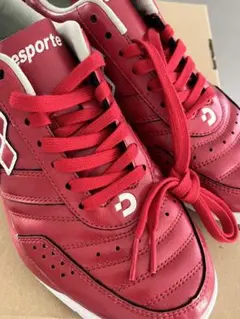 Desporte Campinas SP2 フットサルシューズ 24.5cmのサムネイル