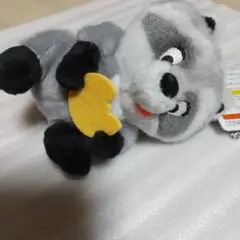 ディズニーリゾート、ミーコバッグチャーム新品、未使用