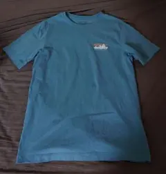 patagonia メンズ・'73 スカイライン・Tシャツ半袖