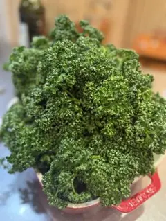 ぽにょ様　専用