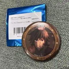 劇場版 鬼滅の刃 無限城編 第一章 第四期 ランダム 57mm 缶バッジ 義勇