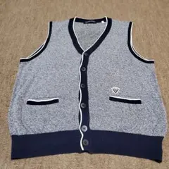 Vittorio Carini ボタン付きベスト 46